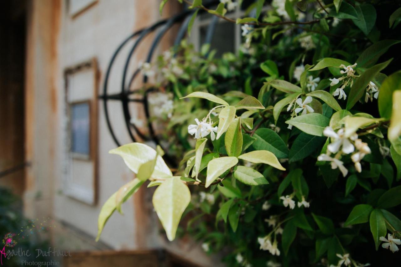 Hotel Particulier Des Jasmins Le Bar-sur-Loup エクステリア 写真