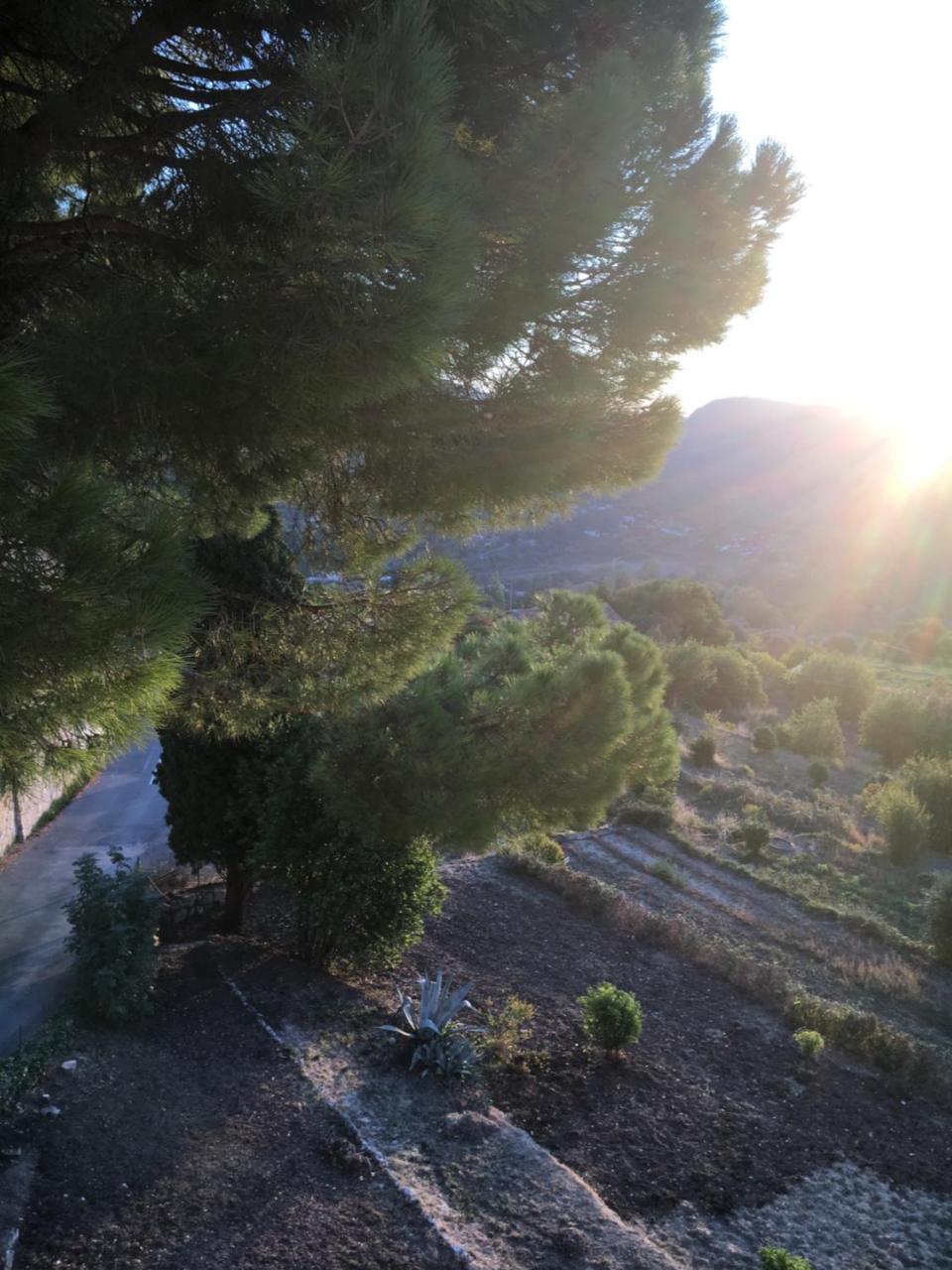 Hotel Particulier Des Jasmins Le Bar-sur-Loup エクステリア 写真